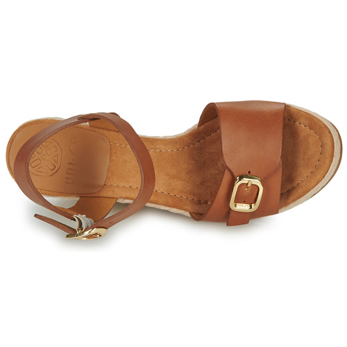 Unisa - MELAO - Camel