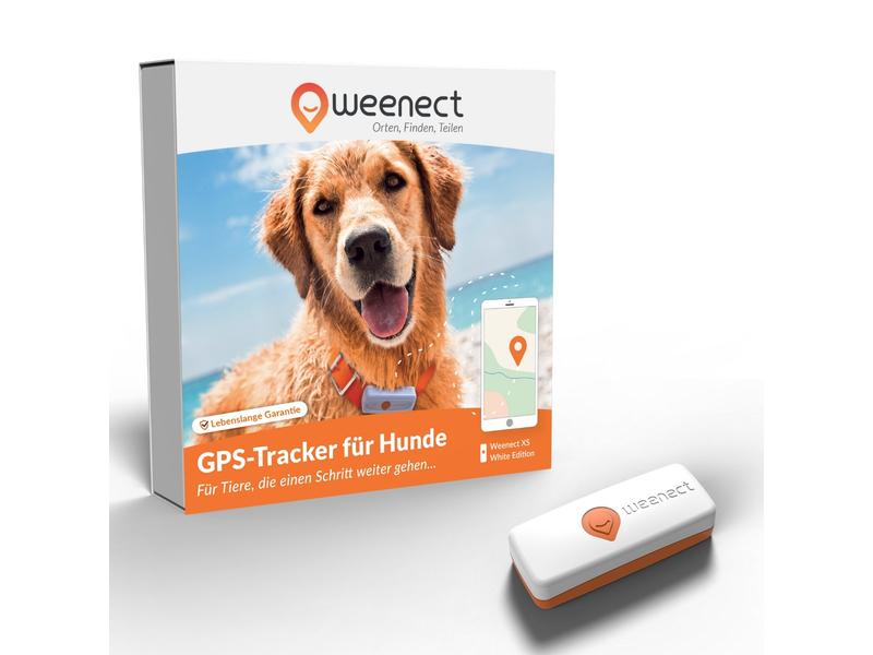 Weenect GPS-Tracker XS für Hunde, Weiss Der kleinste GPS-Tracker für Hunde mit integrierter Taschenlampe