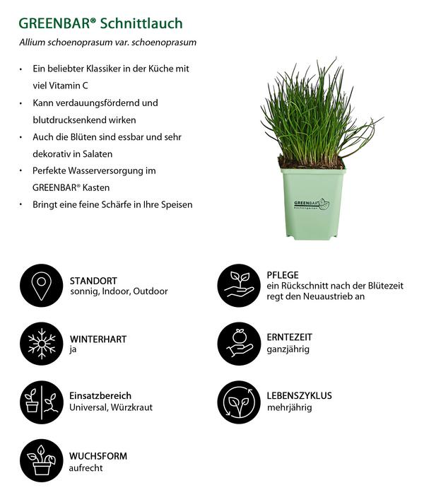 GREENBAR® Küchenkräuter-Set, 6-teilig