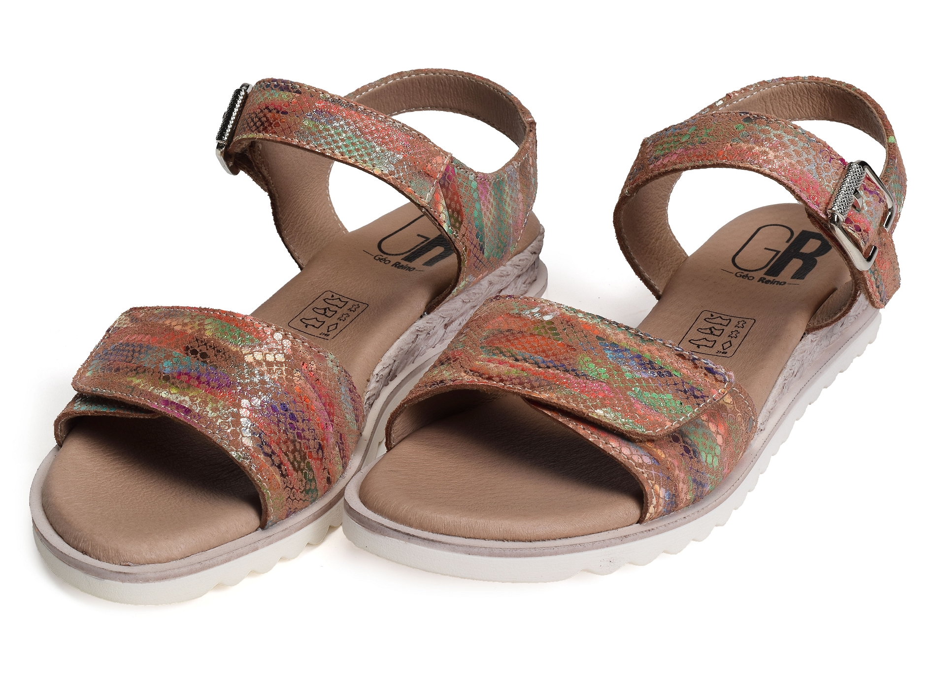 Xiada multicolore