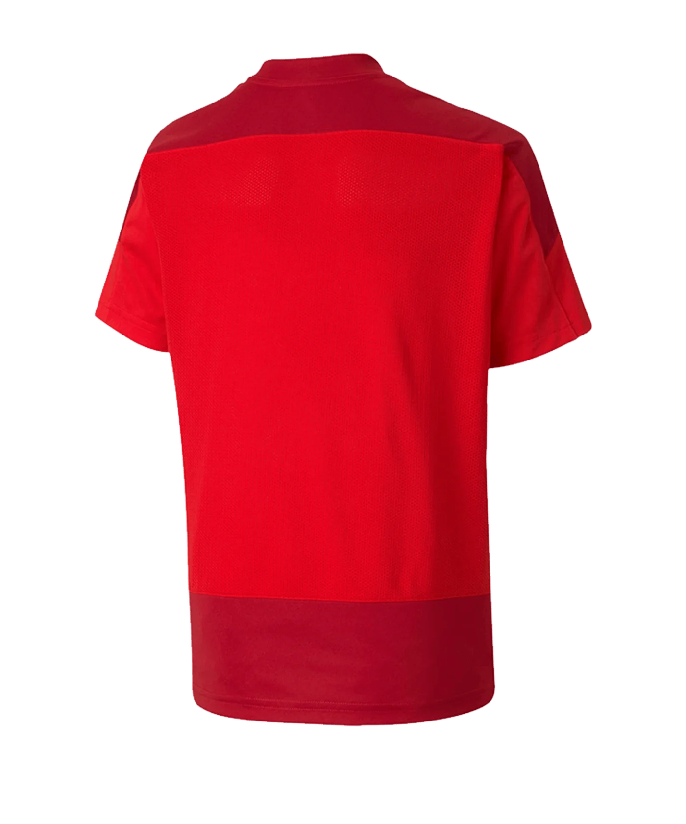 PUMA teamGOAL 23 Training Trikot Kids Rot F01