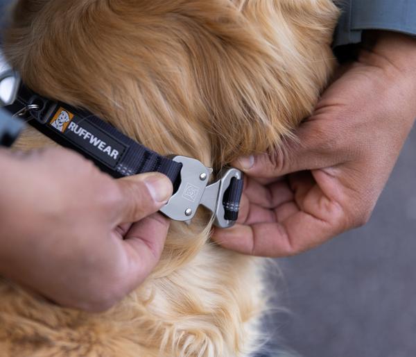 RUFFWEAR® Hundehalsband Top Rope™ mit