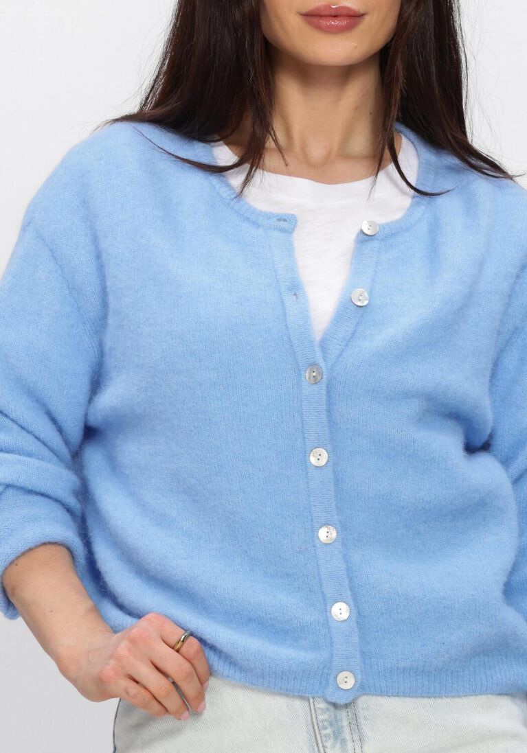 blauwe american vintage trui vitow