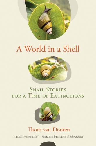 A World in a Shell: Snail Stories for a Time of Extinctions (Hardback)