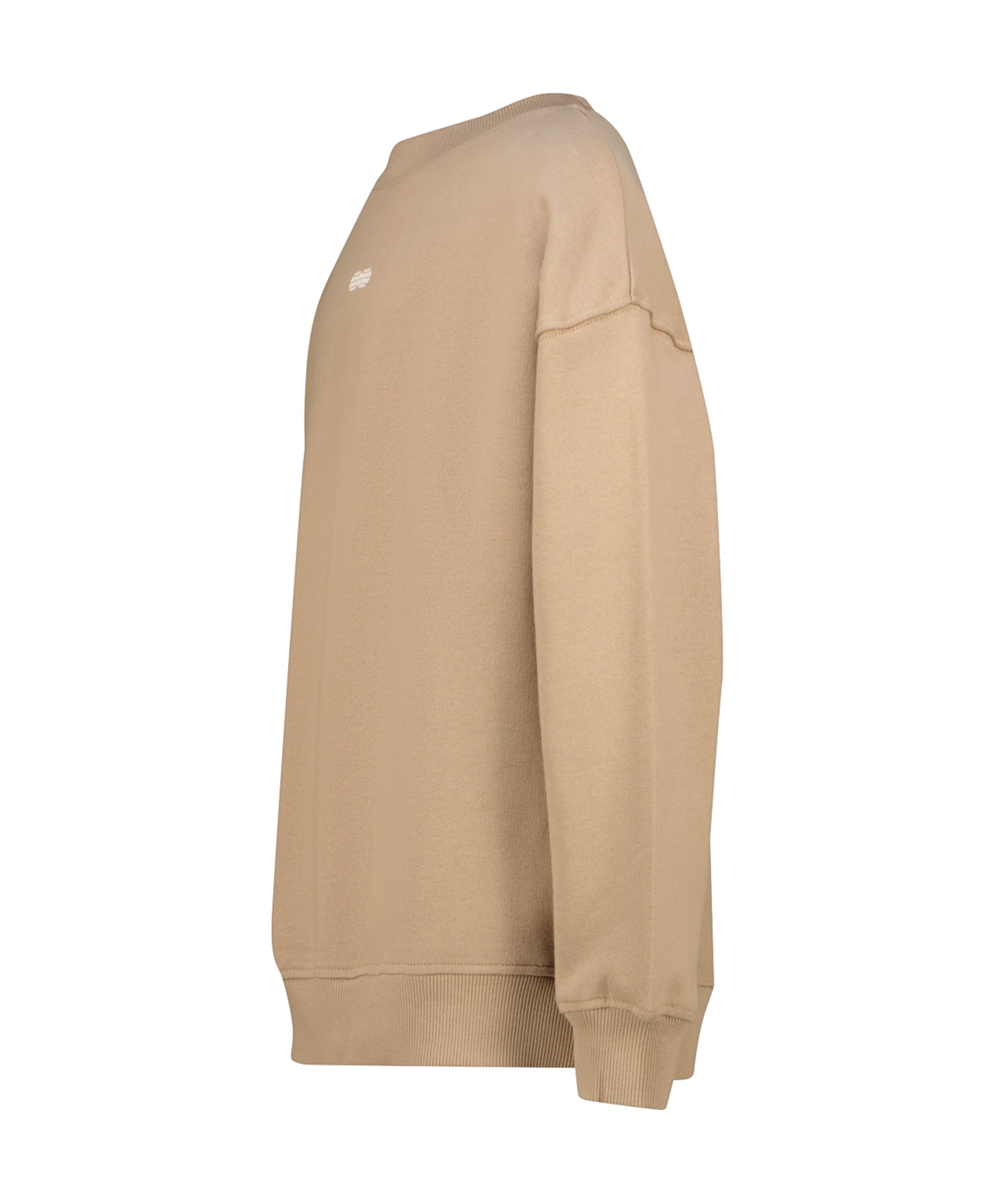 Raizzed Jongens sweater beige