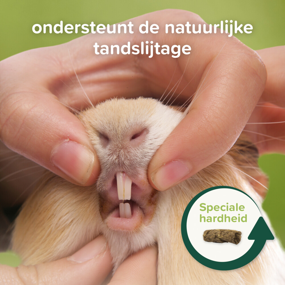 4x Beaphar Care+ NatureCavia1,5 kg