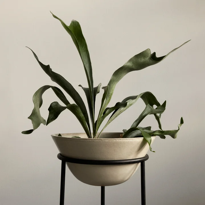 Audo - Daiza Pflanztopf H 35 cm, Ø 48 cm, schwarz / elfenbein