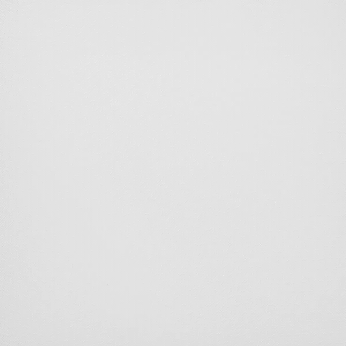 Tagvorhang Voile Beige