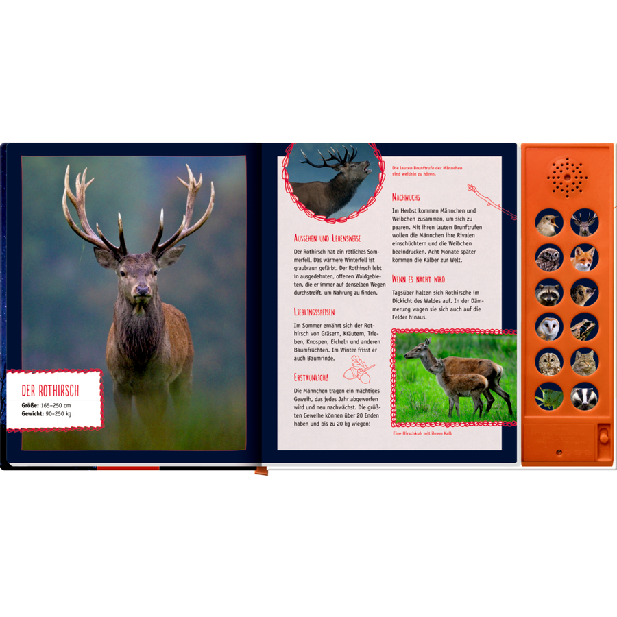 COPPENRATH Tiere in der Nacht - Mit 12 echten Tierstimmen (Soundbuch)