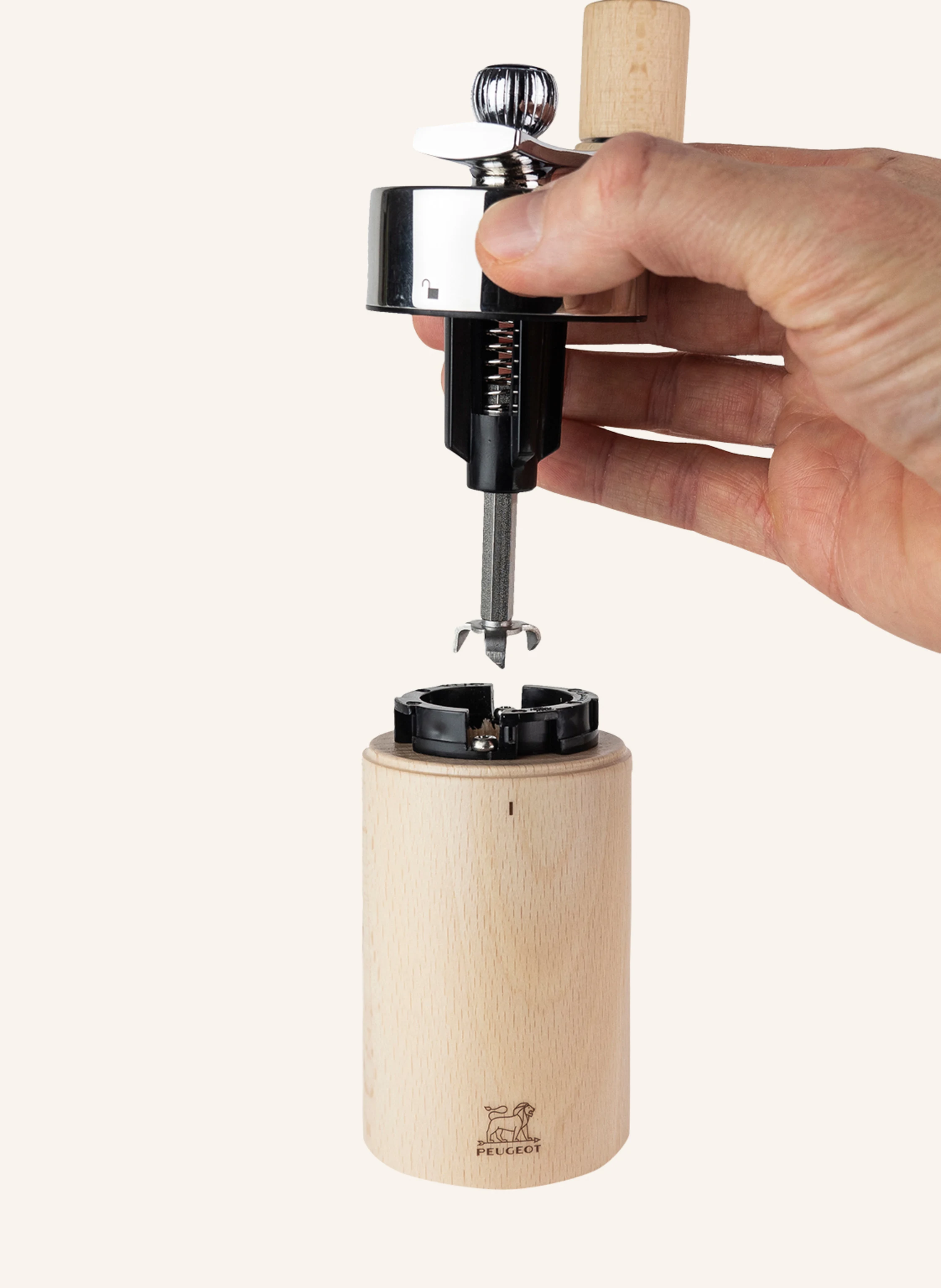 PEUGEOT Muskatmühle ISEN