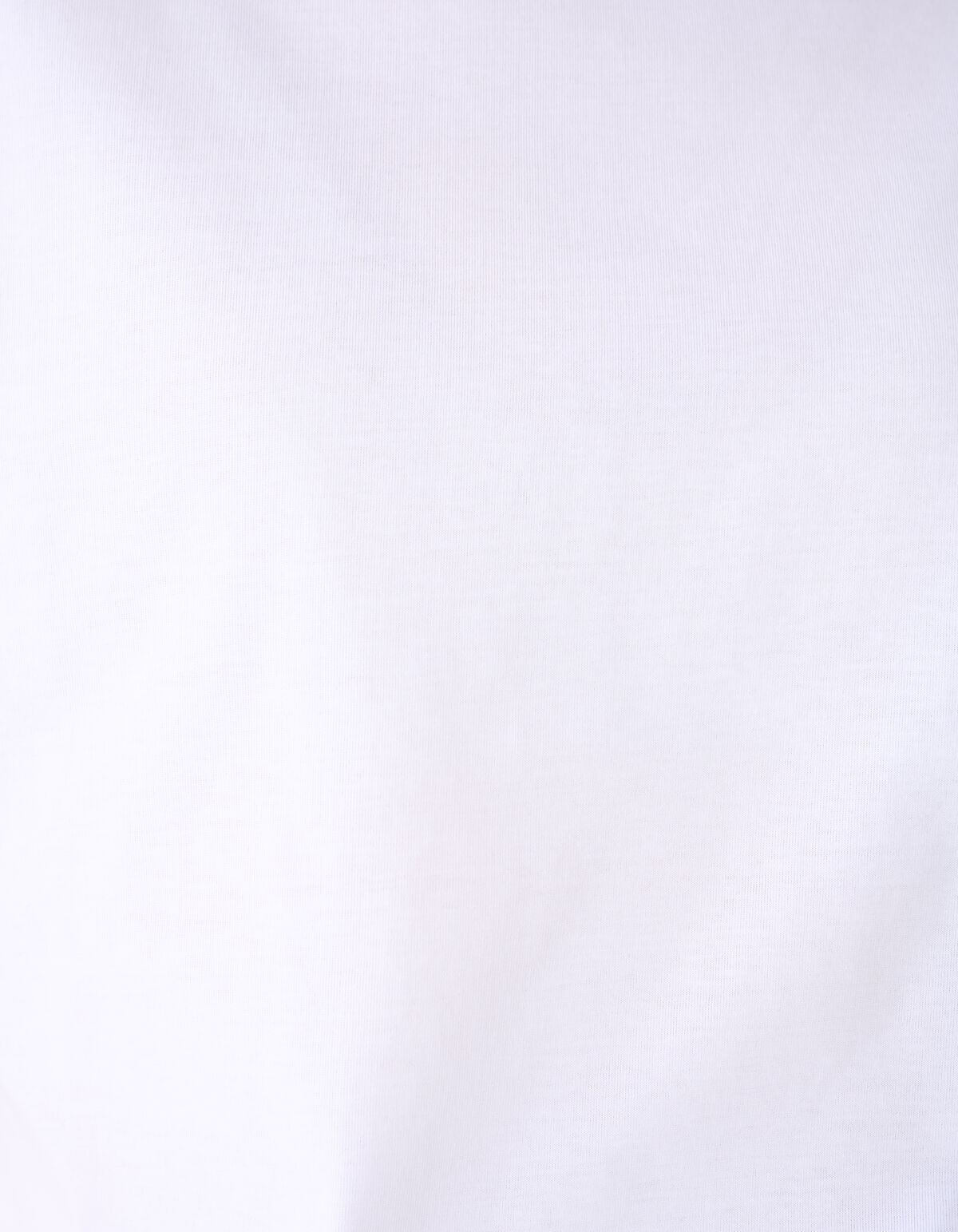 Basis T-shirt Wit