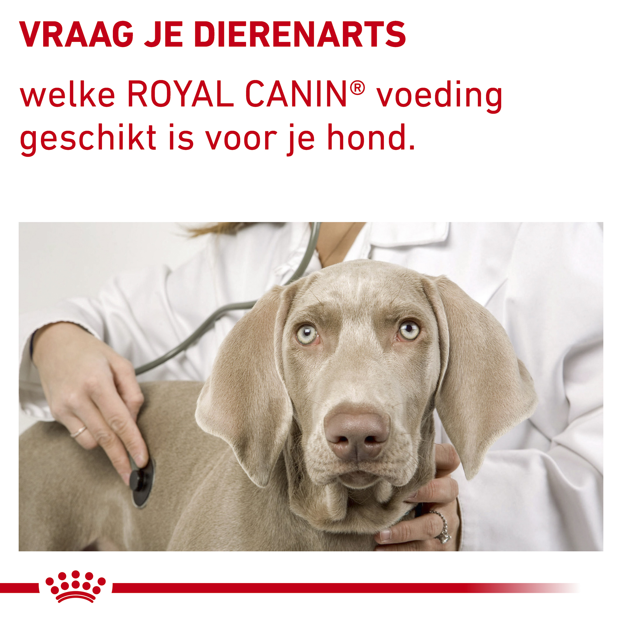 Royal Canin VCN - Mature Consult Medium Dog