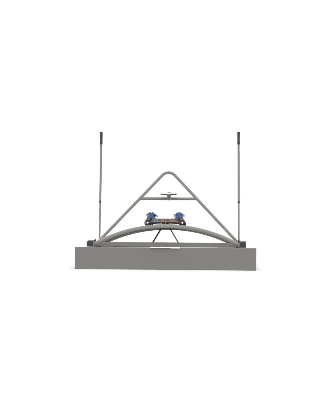 Professional Ski Simulator skisimulator