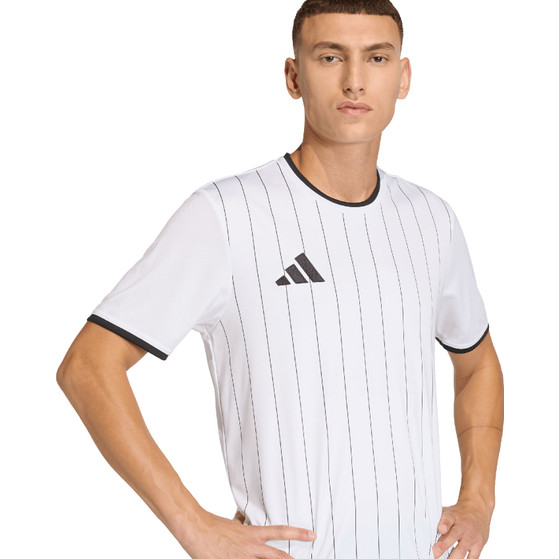 adidas Entrada 26 GFX Trainingsset