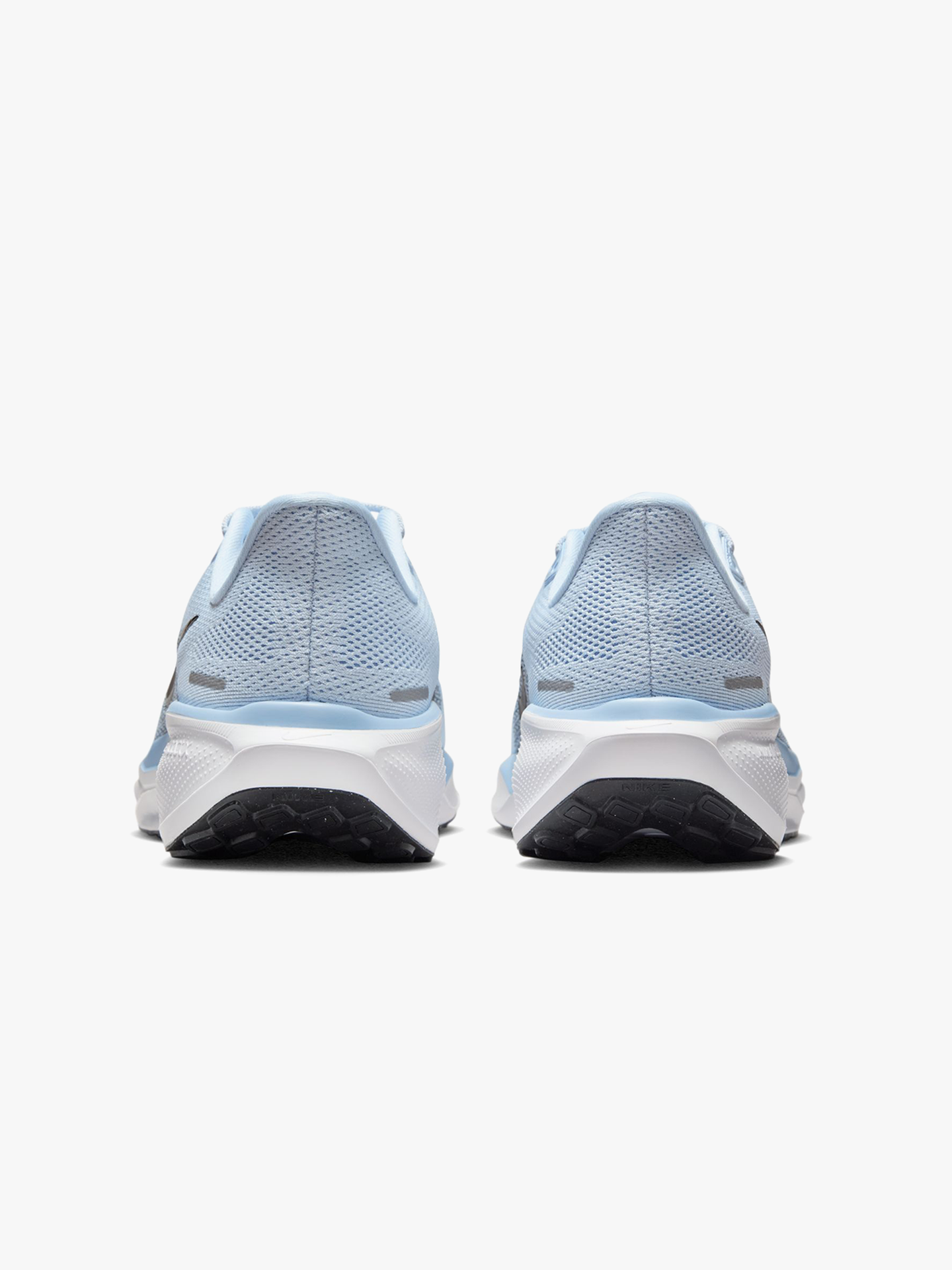 Pegasus 41