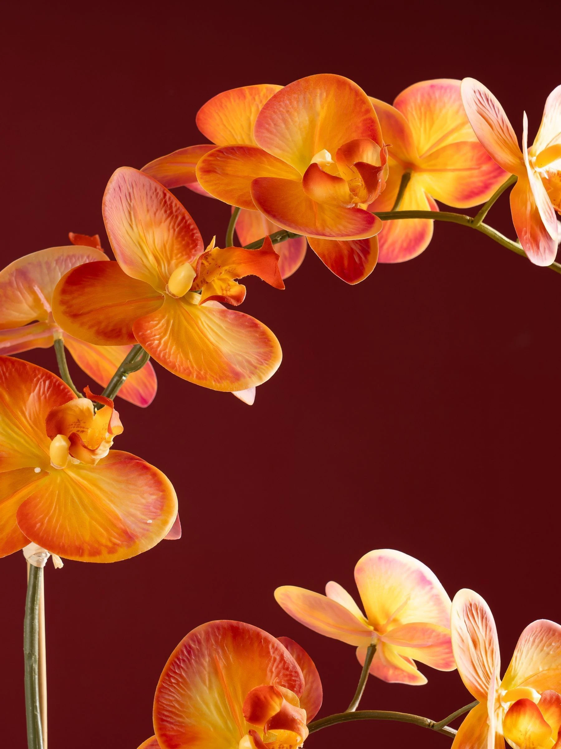 Scottish Everlastings Ltd Artificial Real Touch Orchid
