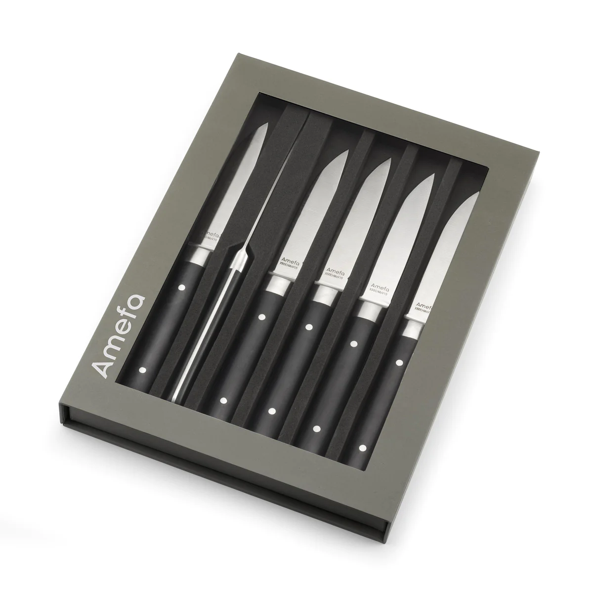 Fusion - Coffret 6 couteaux steak