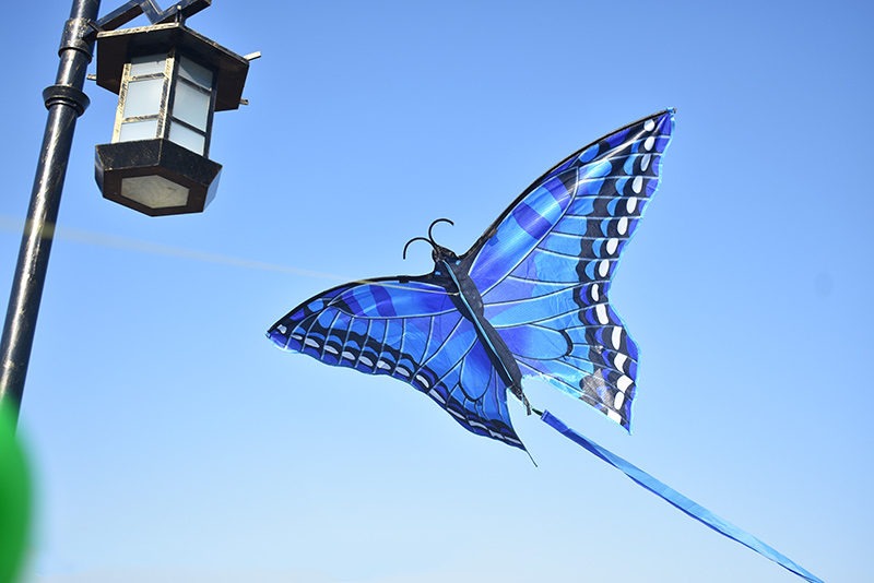 (1.4m) Flug Drachen Herbst Spielzeug Outdoor Schmetterling Flugspielzeug - Blau