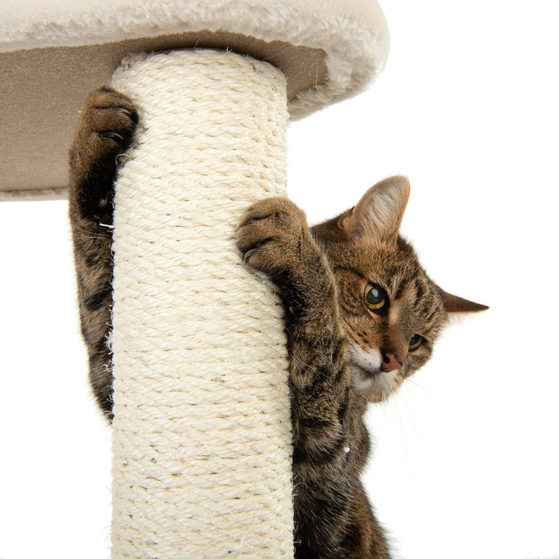 Arbre à chat Laguna