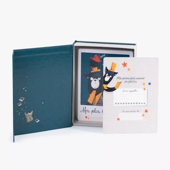 Les Moustaches Cartes Mes 12 premiers mois   de               Moulin Roty
