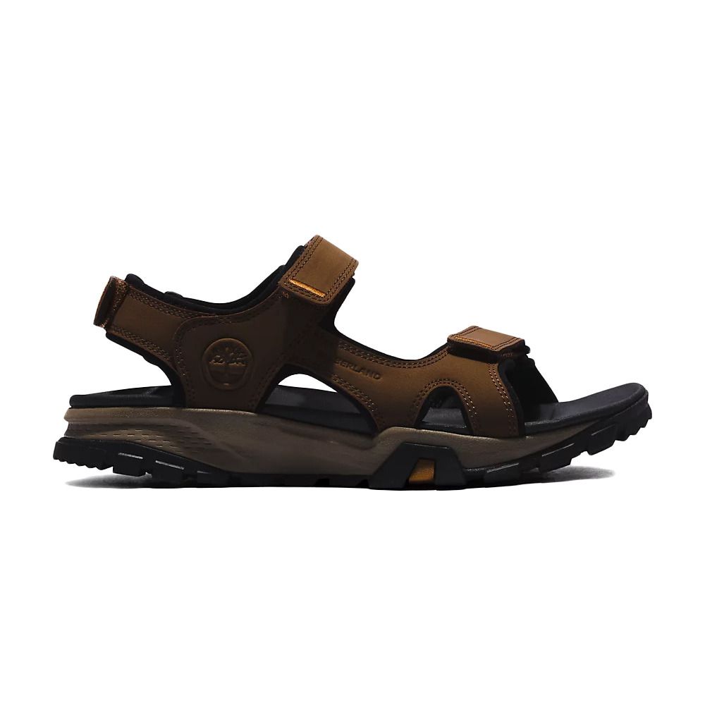 Timberland LINCOLN PEAK - Sandales Homme dark brown leather