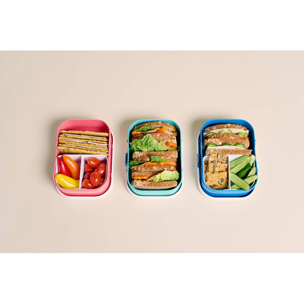 Lunchbox Campus - Wild Tiger