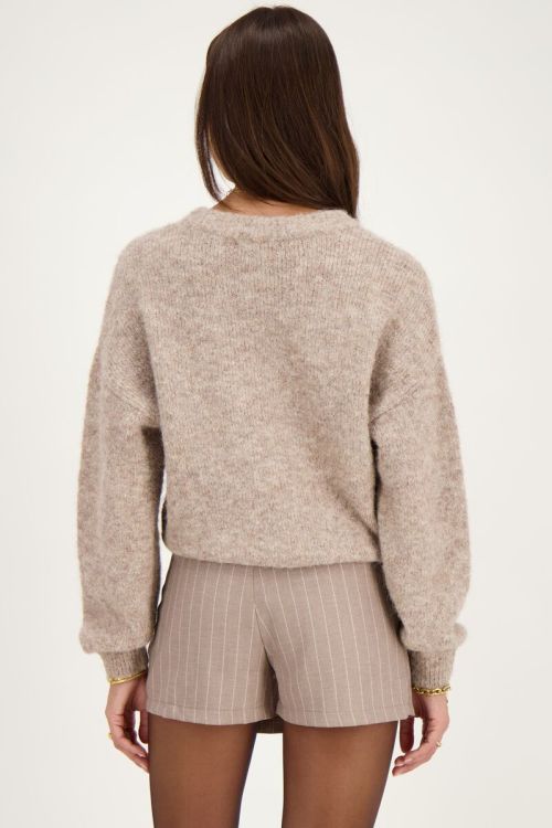 Beige pinstripe skort