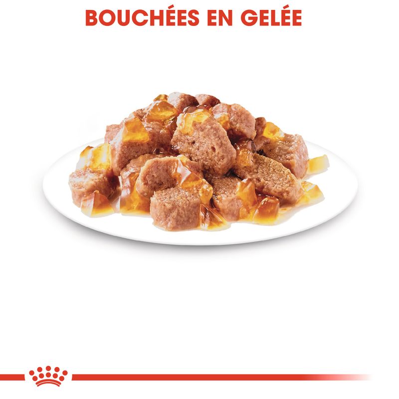 Royal Canin Instinctive en gelée