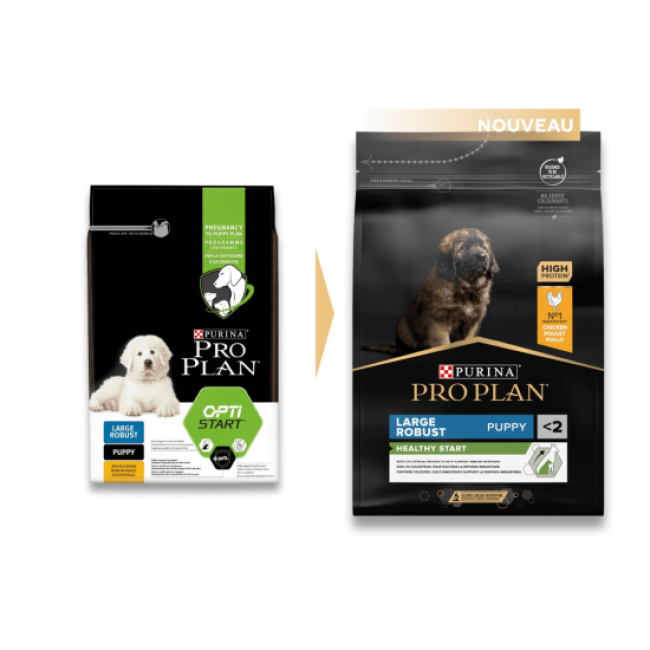 Pro Plan Large Robust Puppy Healthy Start