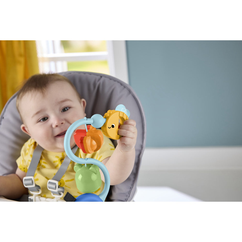 Køb Fisher-Price® Nyfødt Sugekop Legetøj