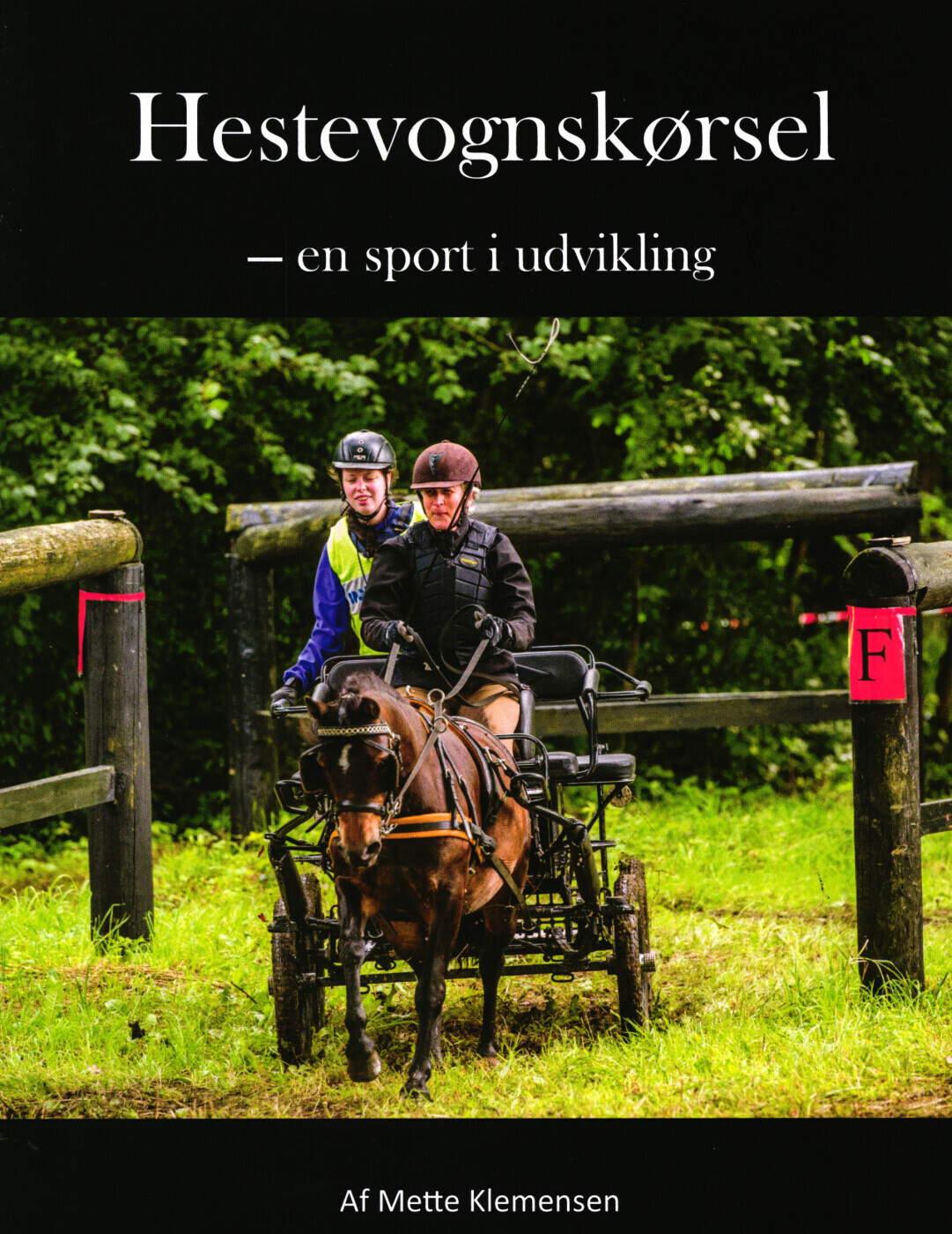 Hestevognskørsel - En Sport I Udvikling - Mette Klemensen - Bog