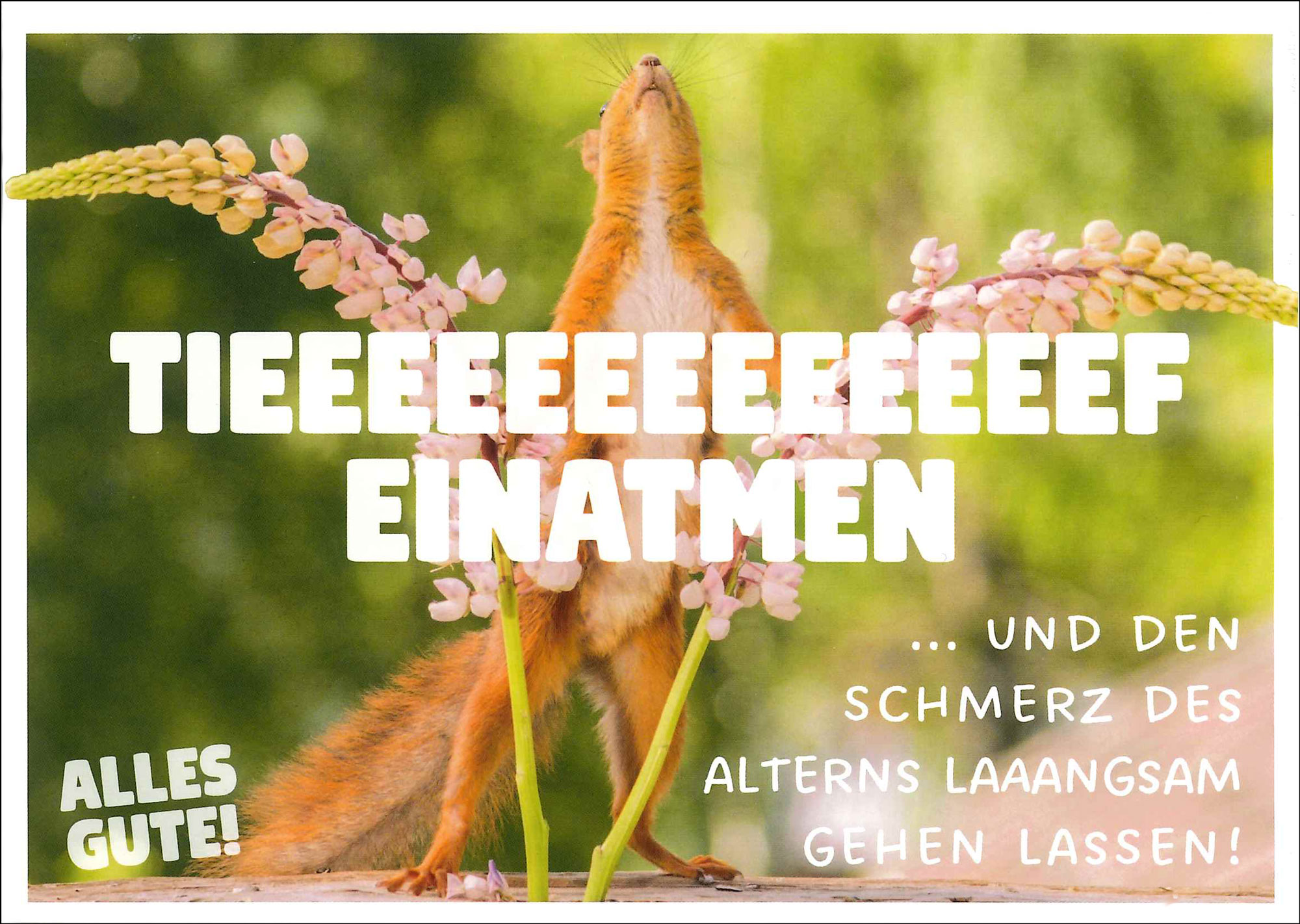 Postkarte 'Tieeeeeeeef einatmen - Alles Gute!' günstig bestellen