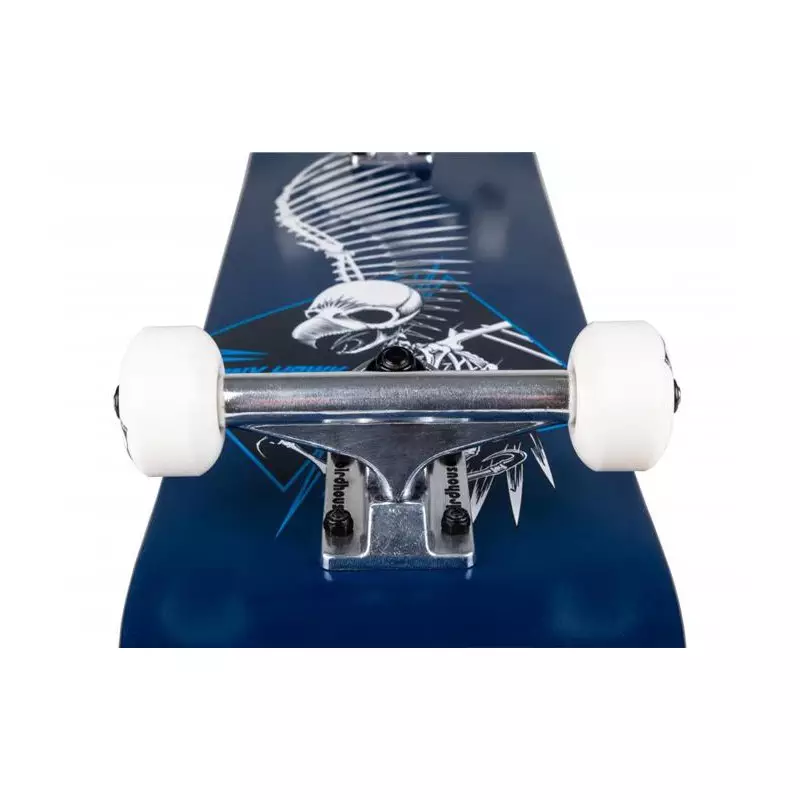 Skate BIRDHOUSE SKATEBOARDS Stage 1 Full Skull 2 Blue 7.5