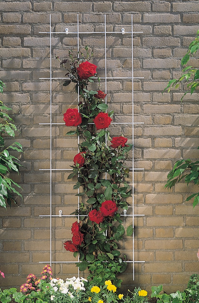 Nature metalen klimrek geplastificeerd 150x45cm groen