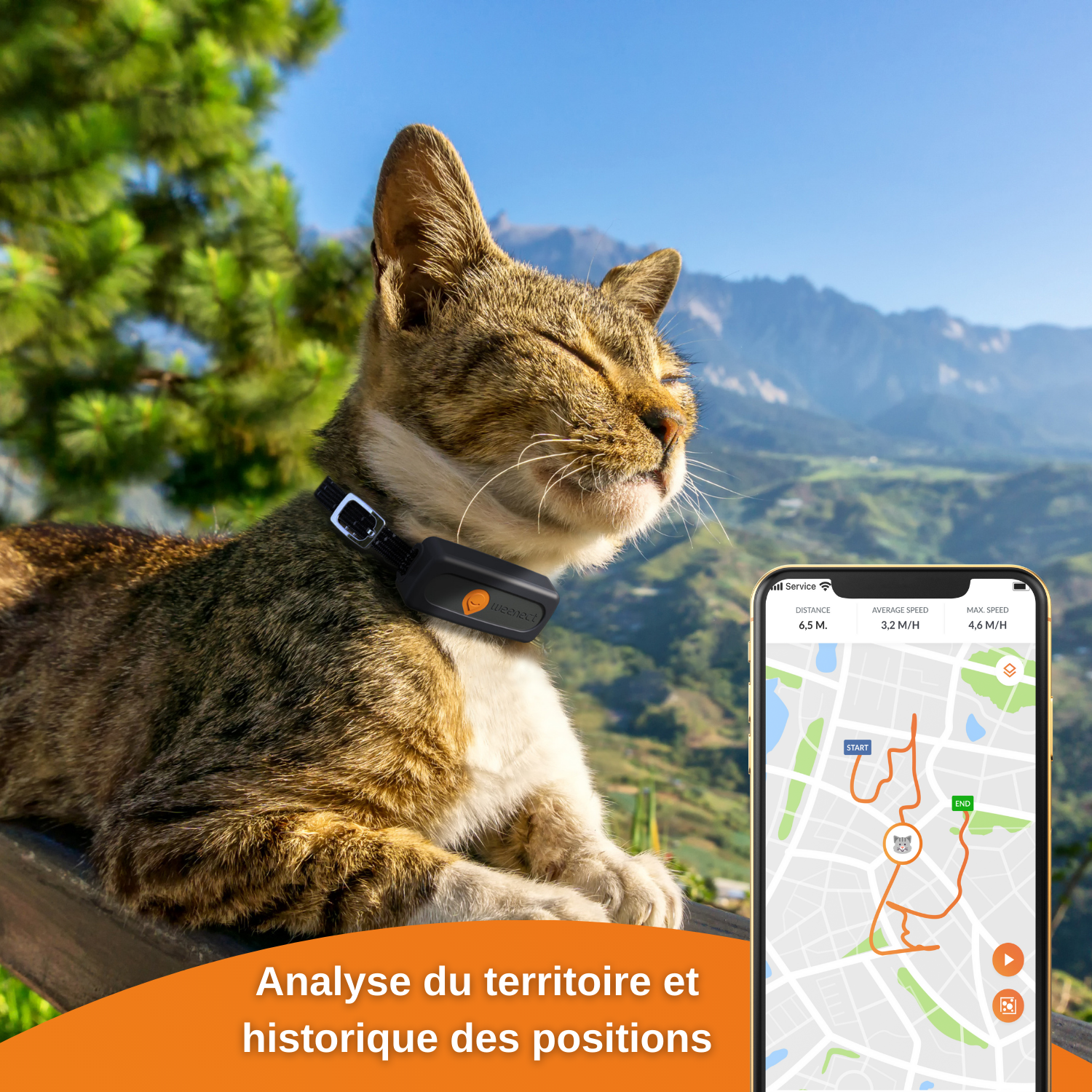 XS - collier gps pour chat (black edition 2023)