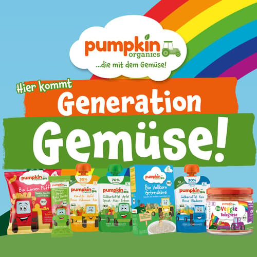 Pumpkin Organics - Bio Erdbeere Fruchtchips