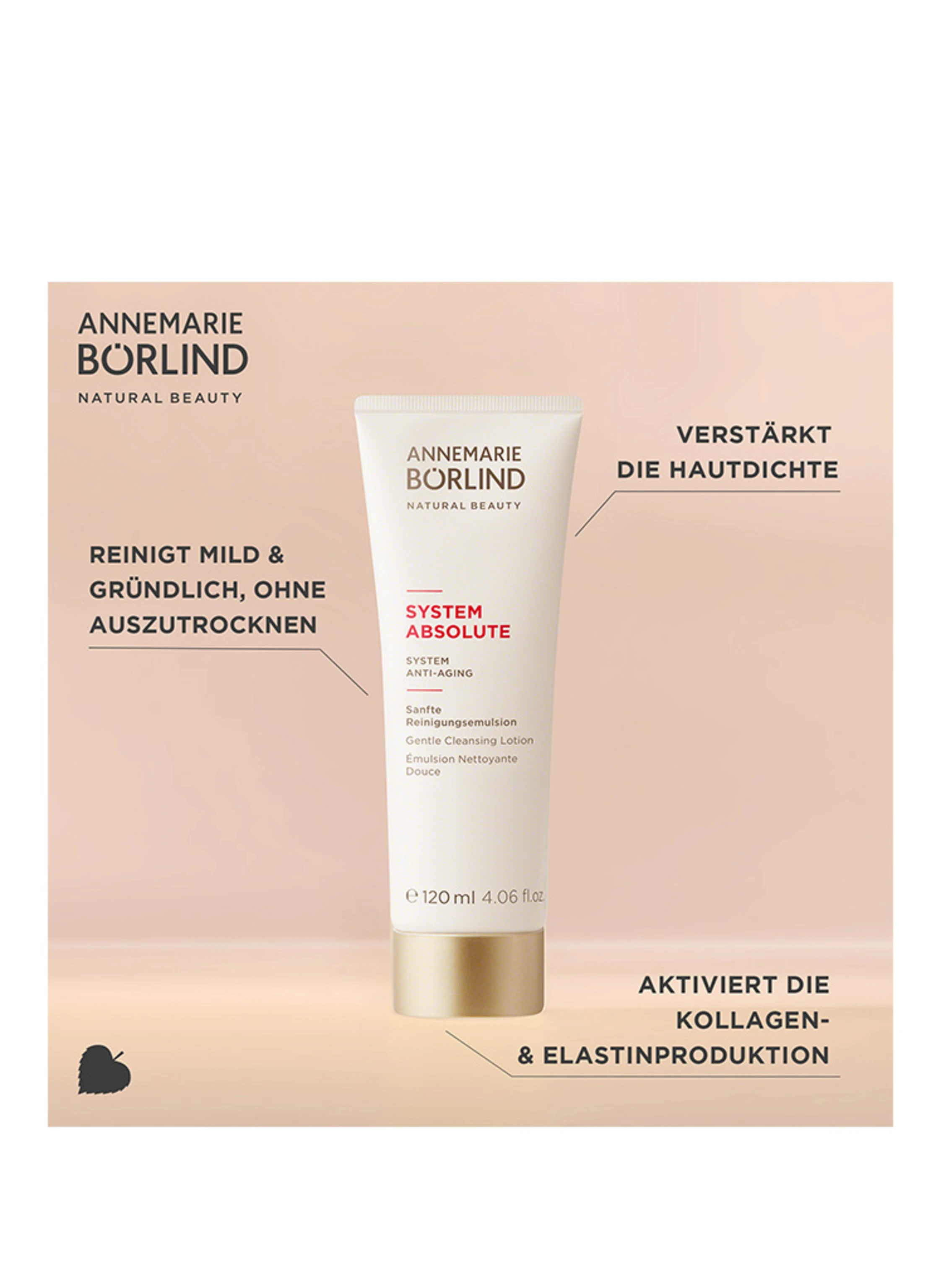 ANNEMARIE BÖRLIND SYSTEM ABSOLUTE