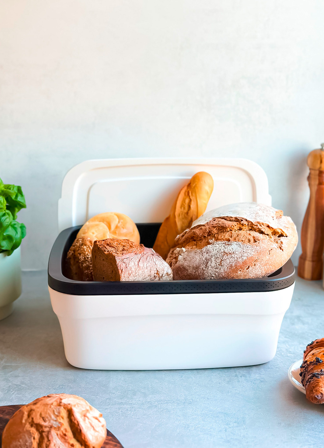 Tupperware BreadSmart Brotbehälter