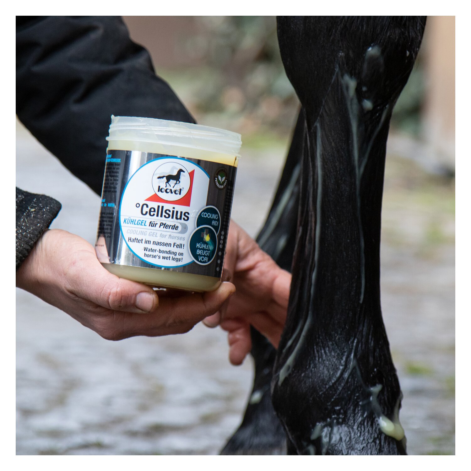 leovet Cellsius Gel für Pferde  - 600 ml