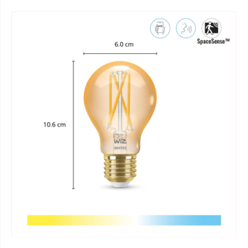 WiZ Connected LED peer E27 50W filament gold koel tot warmwit licht dimbaar