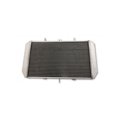 Radiateur Brazoline ADAPTABLE