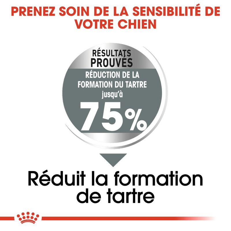 Royal Canin Maxi Dental Care