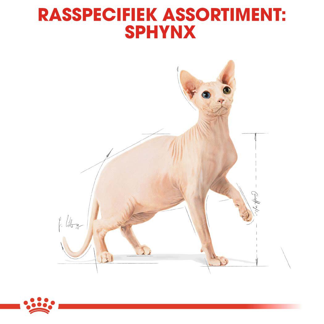 Royal Canin Sphynx Adult  - Kattenvoer - 10 Kilogram - Gevogelte