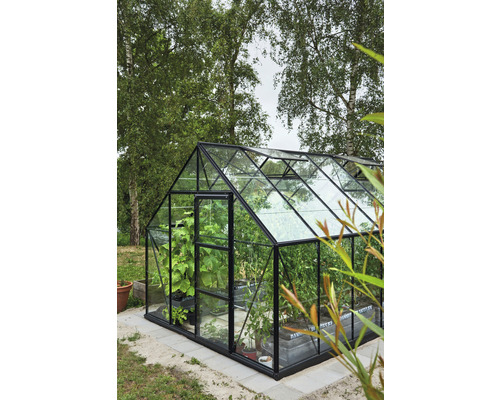 Kas Hallen Universal 128 9,9 m² Helder glas 3 mm 257 x 384 cm zwart