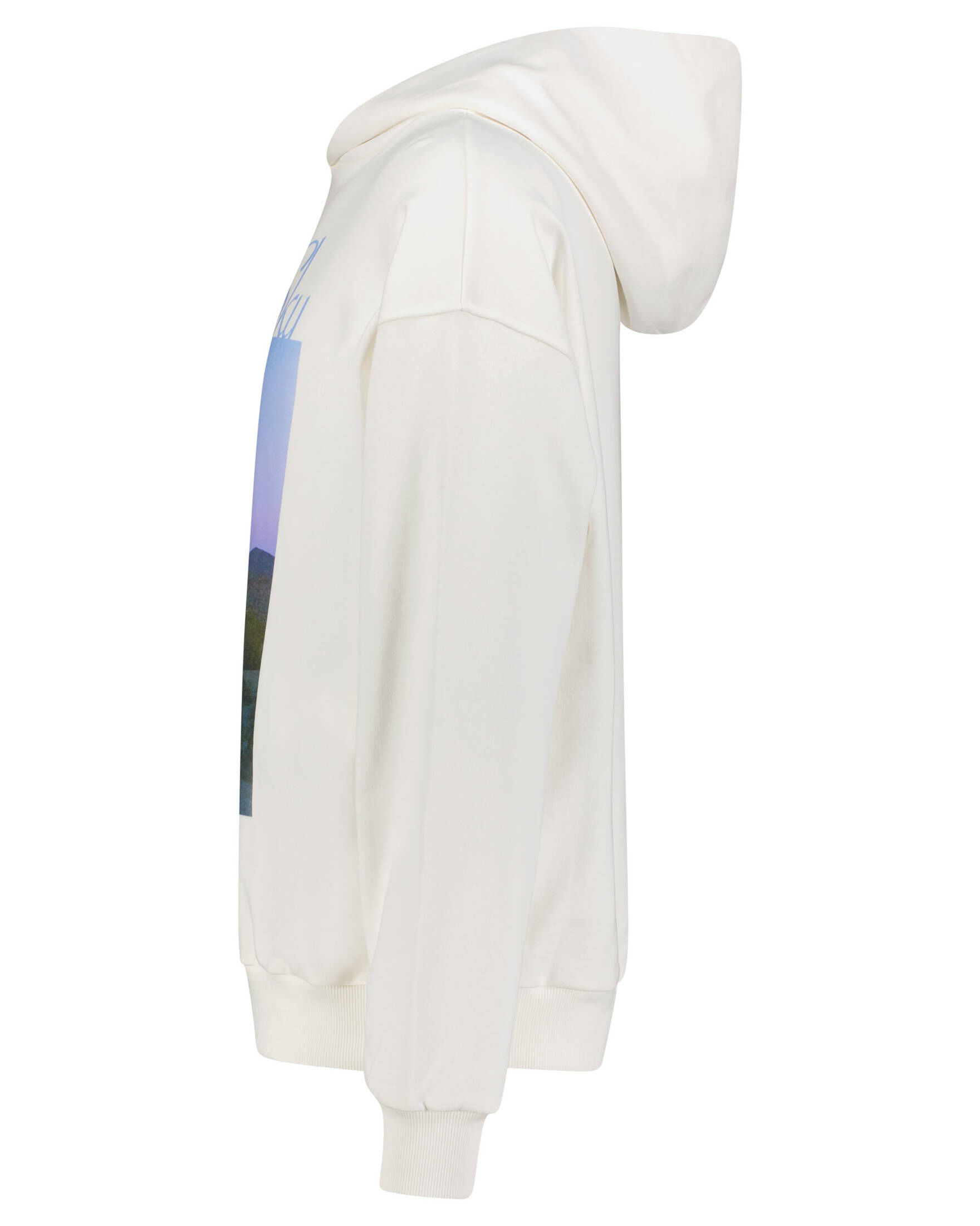 BLUE SKY INN| Herren Hoodie MOUNTAIN HOODIE