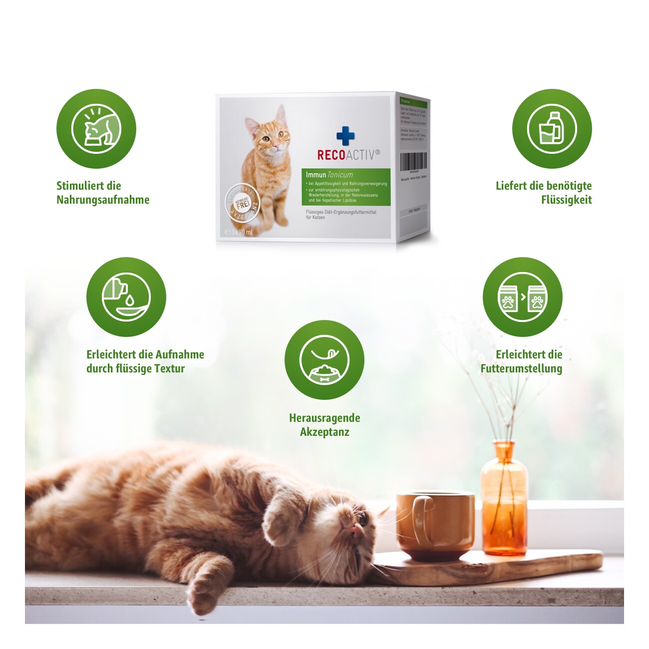 RECOACTIV ® Immun Tonicum 3x90ml