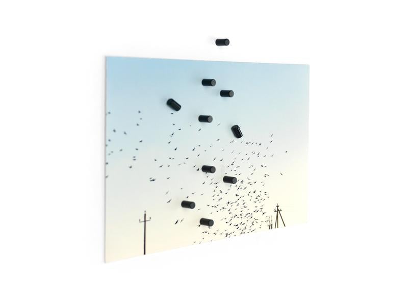 Trendform Haftmagnet Magnum 10er Set , Schwarz Magnete für Ihre Notizen
