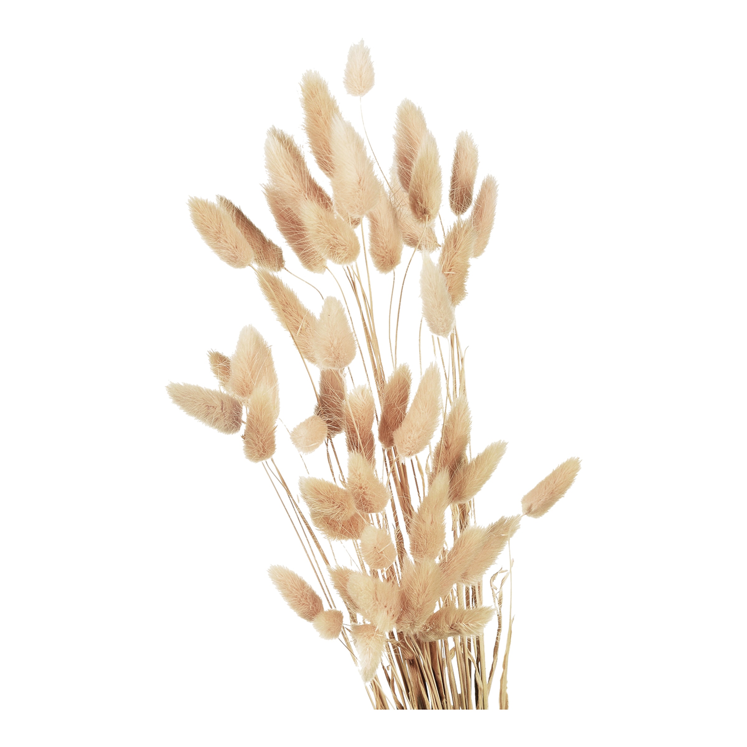 natur, L 60 cm