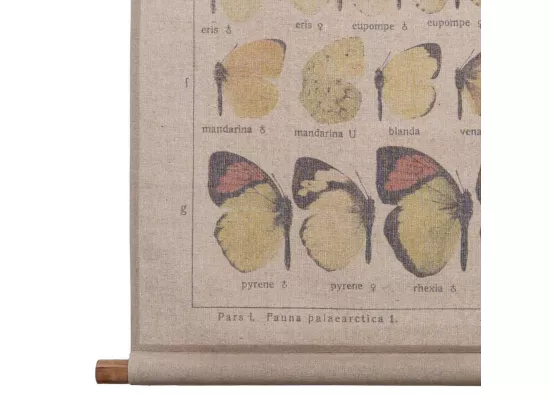 Toile imprimée en parchemin