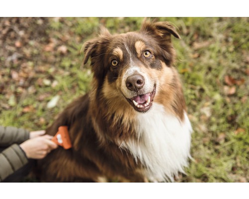 Kam FURminator hond deShedding M lang haar